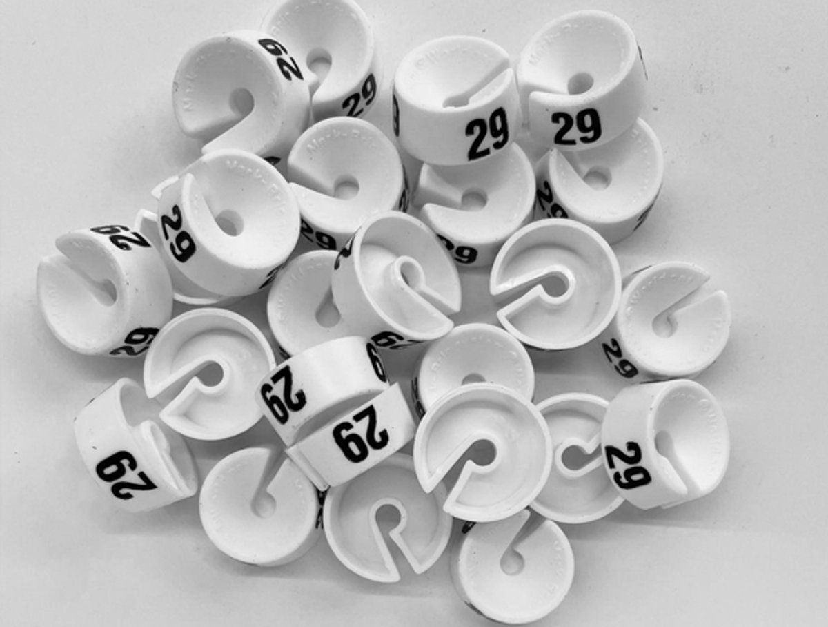 Bleijenberg Maatdopje maat 29 wit - Maataanduiding voor kledinghangers per 25 stuks - Maatringetje Ø 20 mm - Kledinghangers - Kleerhanger - Kapstok - Mark-Brics - wisersizer