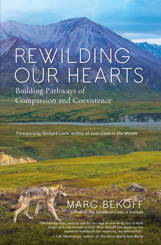 Rewilding Our Hearts - cover