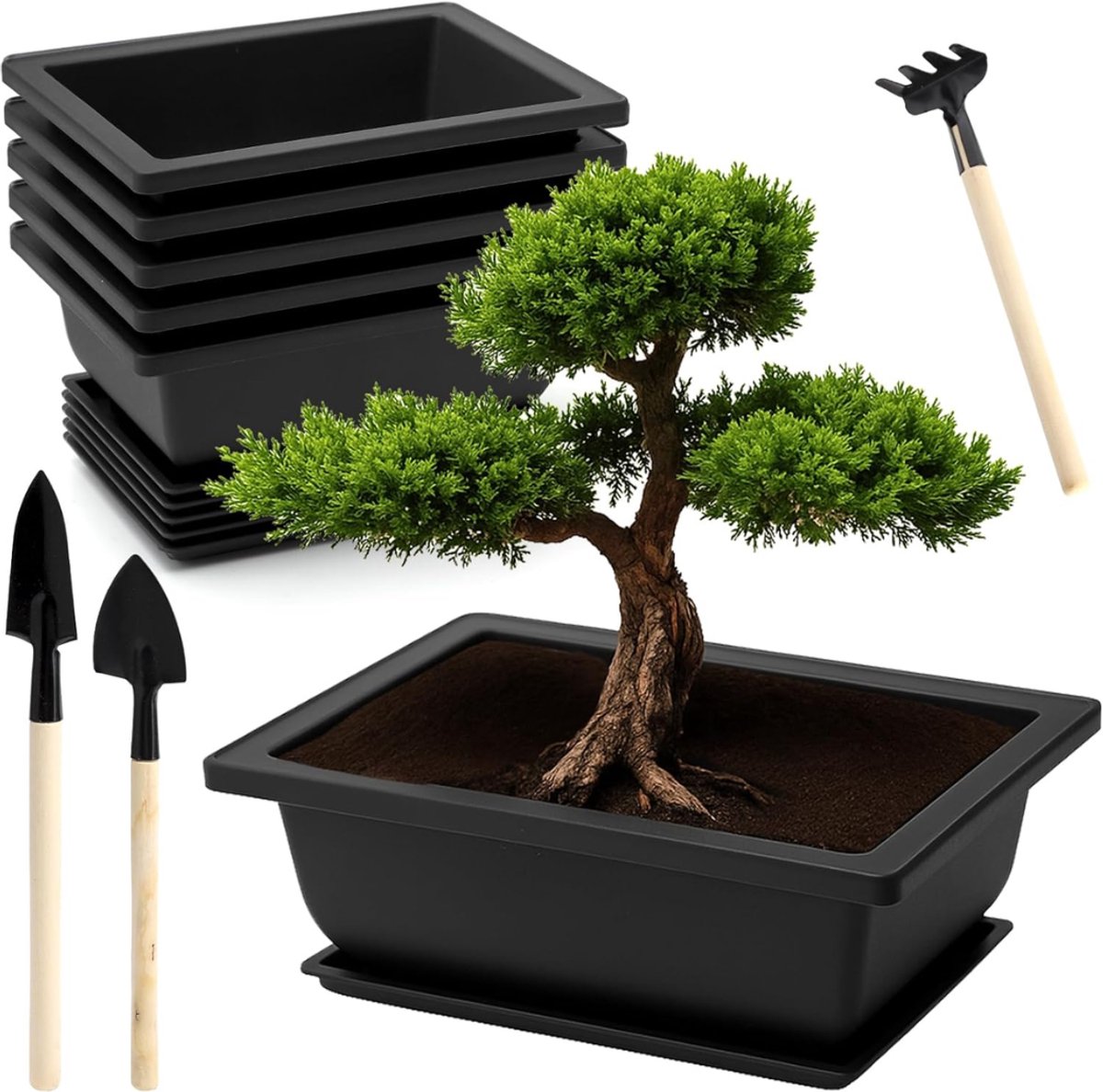 HEZIVO® Bonsai Schaal - Pot met Tray en Gereedschapsset - Kunststof - Herbruikbaar - 6 Stuks