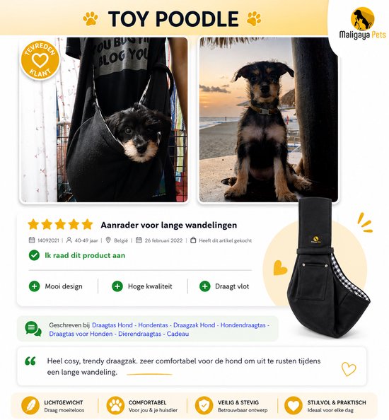 Zwarte hondendraagtas met ruiten voering, een hondje zit in de tas. Een andere hond zit op het strand.