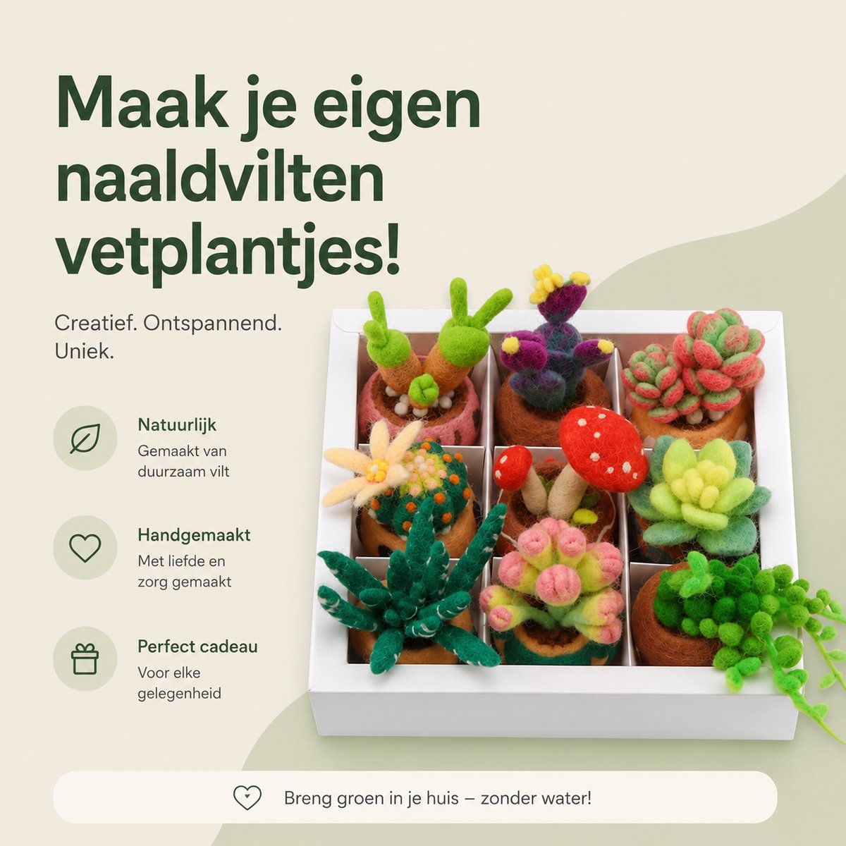 BOTC Naaldvilten - Starterset - Needle felting - Instructie inbegrepen - Gekaarde wol - Viltnaalden - Vetplanten — afbeelding 8