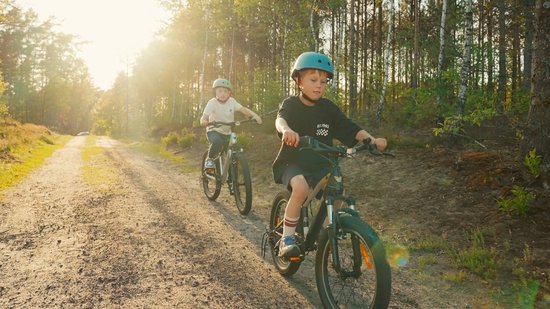 Verdant Kinderfiets voor jongens van 6 tot 10 jaar, 20 inch, 6 versnellingen, Shimano kinderfiets, verstelbare hoogte (Zilver) van Verdant — afbeelding 3