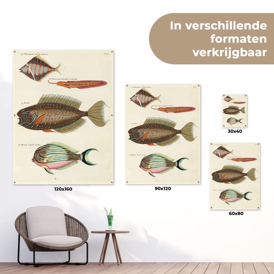 Décoration murale' extérieur Vintage - Animal - Poisson - 120x160 cm