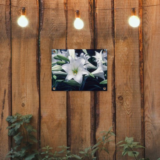 Tuinposter 40x30 cm - Tuindecoratie Close-up van lelie bloemen - Poster voor in de tuin - Buiten decoratie - Schutting tuinschilderij - Tuindoek muurdecoratie - Wanddecoratie balkondoek