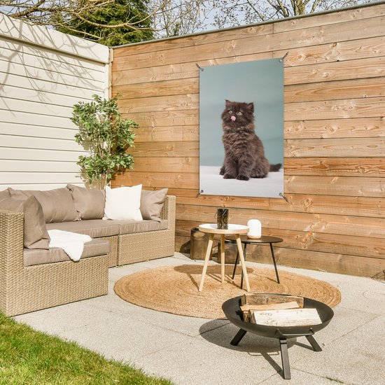 Posters de jardin Chaton persan tirant la langue - 60x90 cm