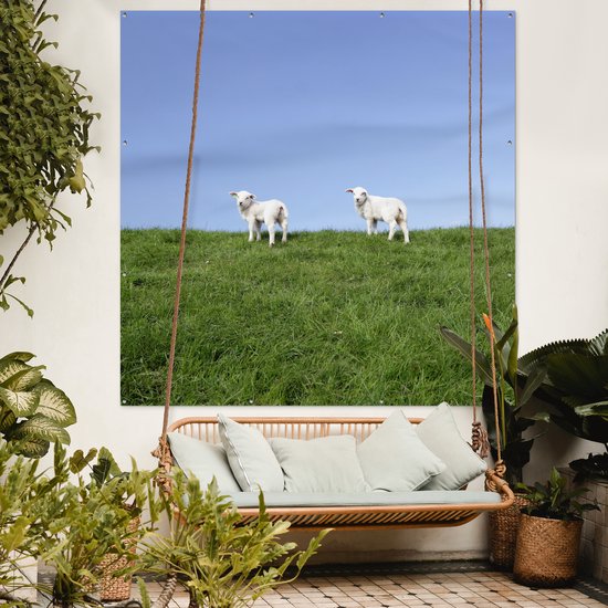 Tuinposter 200x200 cm - Tuindecoratie Twee lammetjes die zich op een grasdijk bevinden - Poster voor in de tuin - Buiten decoratie - Schutting tuinschilderij - Tuindoek muurdecoratie - Wanddecoratie balkondoek