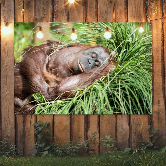 Tuinposter 180x120 cm - Tuindecoratie Aap - Jong - Gras - Slapen - Poster voor in de tuin - Buiten decoratie - Schutting tuinschilderij - Tuindoek muurdecoratie - Wanddecoratie balkondoek