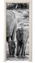 Deurposter 90x205 cm - Deursticker Olifant - Water - Dieren - Zwart - Wit - Meubelfolie zelfklevend - Deurfolie woonkamer - Interieurfolie fotobehang - Deur plakfolie - Deurstickers - Deurbehang sticker - Kamer decoratie