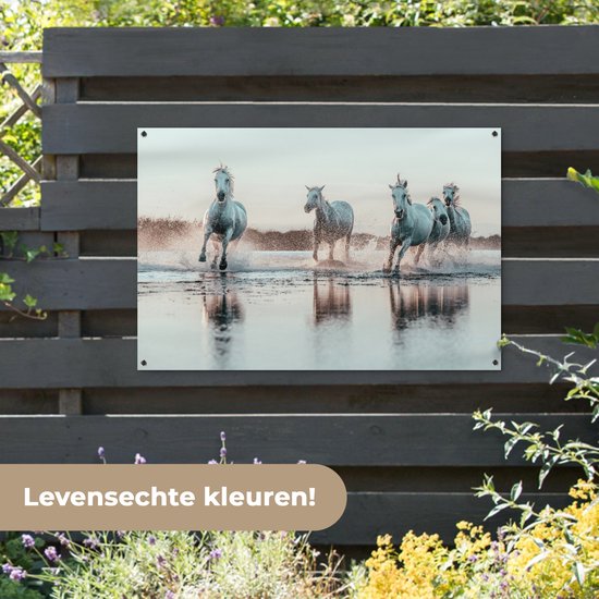 Tuinposter 120x80 cm - Tuindecoratie Wilde witte paarden galopperen door het water in Camargue - Poster voor in de tuin - Buiten decoratie - Schutting tuinschilderij - Tuindoek muurdecoratie - Wanddecoratie balkondoek