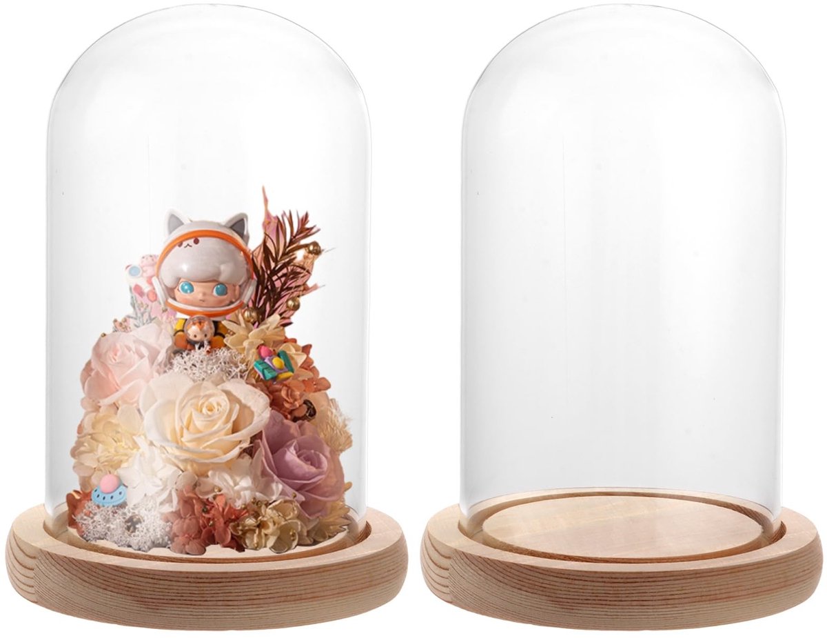 Dailygoods- Glazen Stolp - Houten Bodem - 15 cm Hoog - Decoratie - Vitrine - Transparant - 2 x Glazen Koepel - Glazen Bel