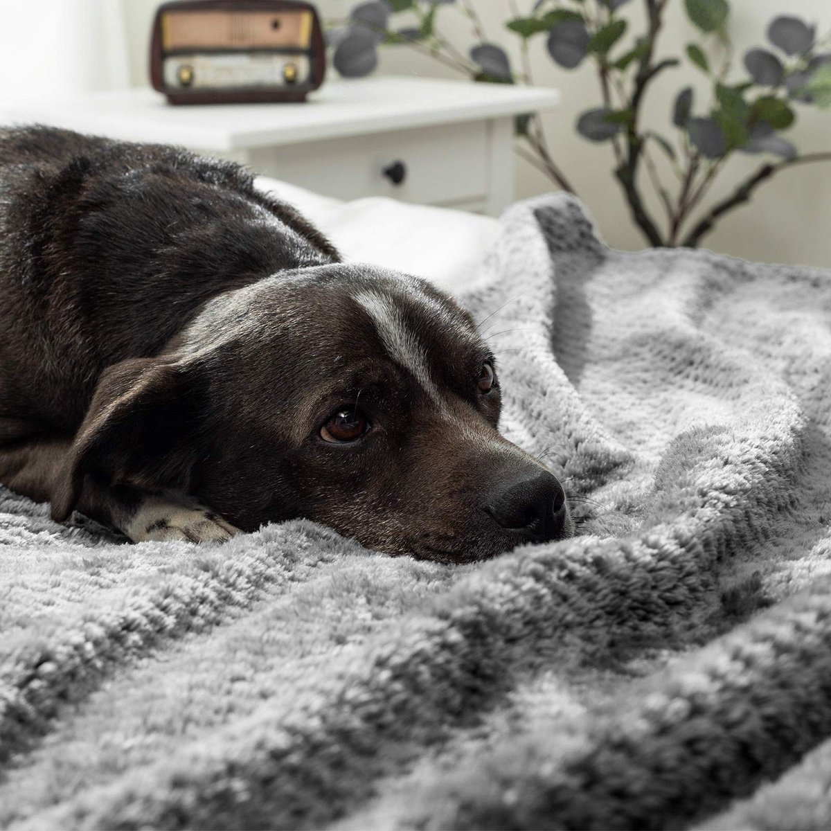 ZEYNOMAX - Dekens - Fleece Dekens Met Graankorrelontwerp - Warm En Pluizig - Donkergrijs - Omkeerbaar - Ideaal Voor Bed En Bank