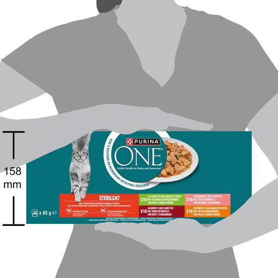 Personne tenant un pack Purina ONE Sterilcat de 40 x 85 g sachets, avec un chat et des gamelles de nourriture.