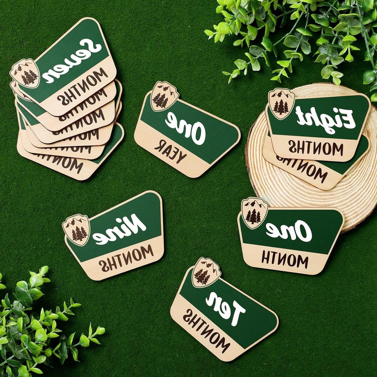 Huray Rayho 12 stuks National Park Baby Maandelijkse Foto Rekwisieten Kaarten Rustieke Houten Baby Maanden Borden Avontuur Thema Pasgeboren Fotografie Rekwisieten voor Baby Shower Bergwandelen