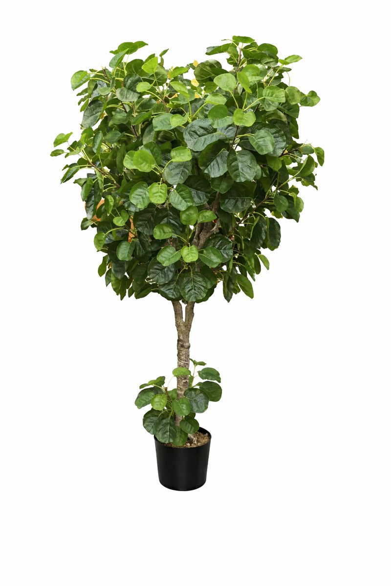 M.T.C Kunstplant-Kunstboom-Fijn Bladerig-klein blad-180 cm-Lyrata groen