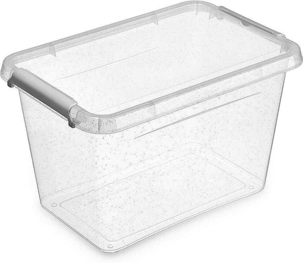 Opbergdoos Set - Voedselbox Koelkastbox - Voedsel Vers Houden - Antibactierieel Zilver - 29x20x18 cm - Transparant