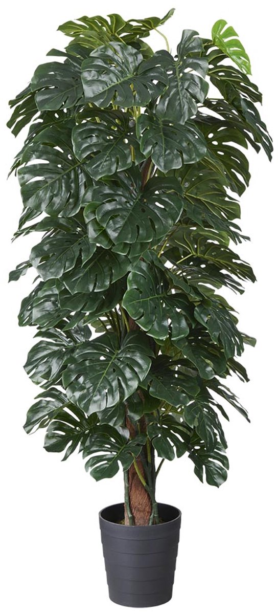 HTT Decorations Kunstplant Monstera (mosstok) H175cm - HTT Decorations kunstplanten Groen