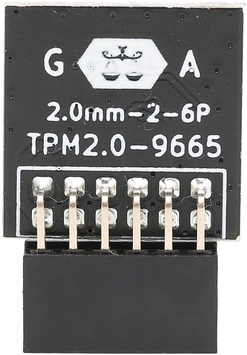 12PIN TPM 2.0 Module Encryptie Beveiligingsmodule - Hoge Beveiliging - Praktisch - Computer .