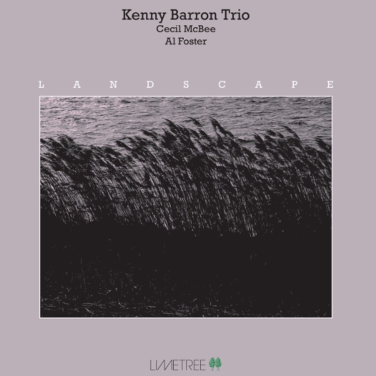 Kenny Barron Trio - Landscape (LP)