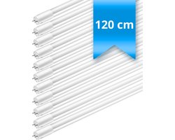 10x TL lampen 120 cm – 36W – 865 Koel wit 6500K – originele T8 TL buizen set van 10