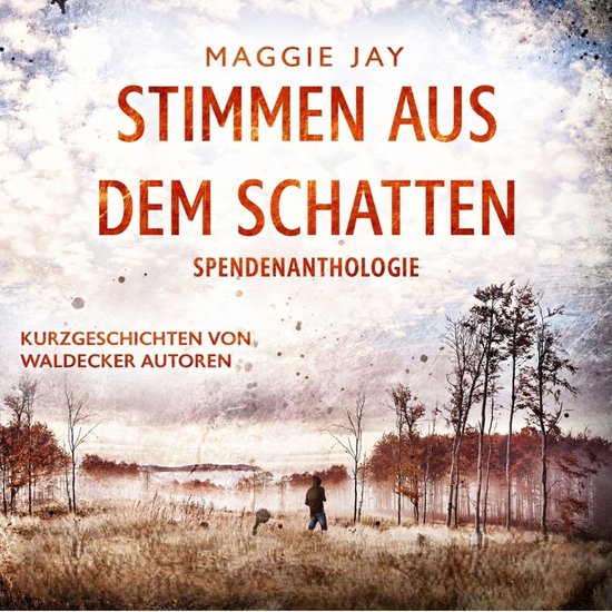 Stimmen aus dem Schatten - cover