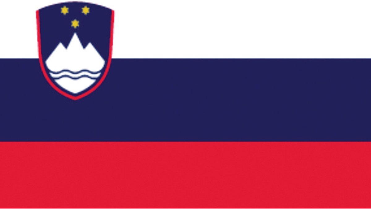 Sloveense vlag 20x30