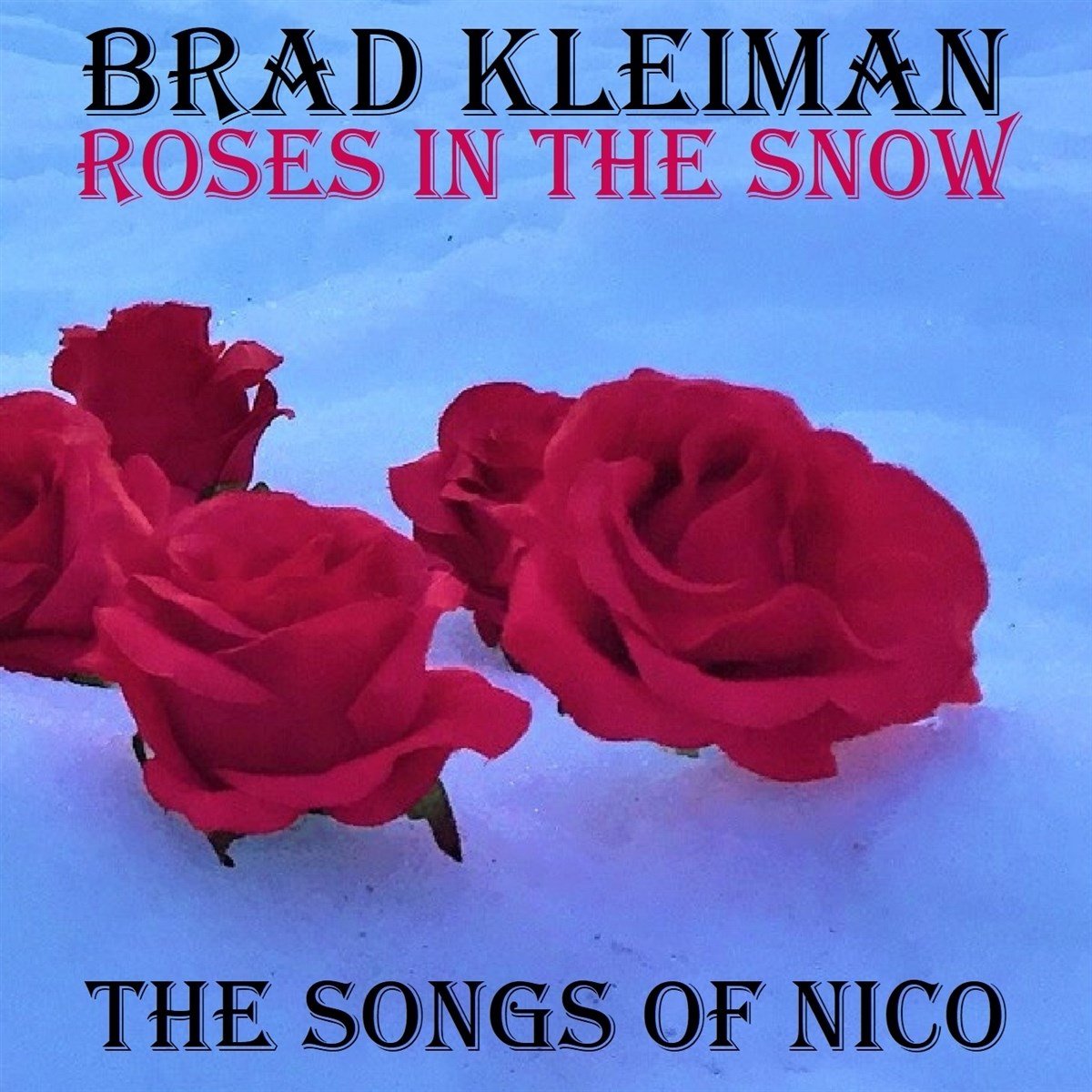 Brad Kleiman - Roses In The Snow (CD)