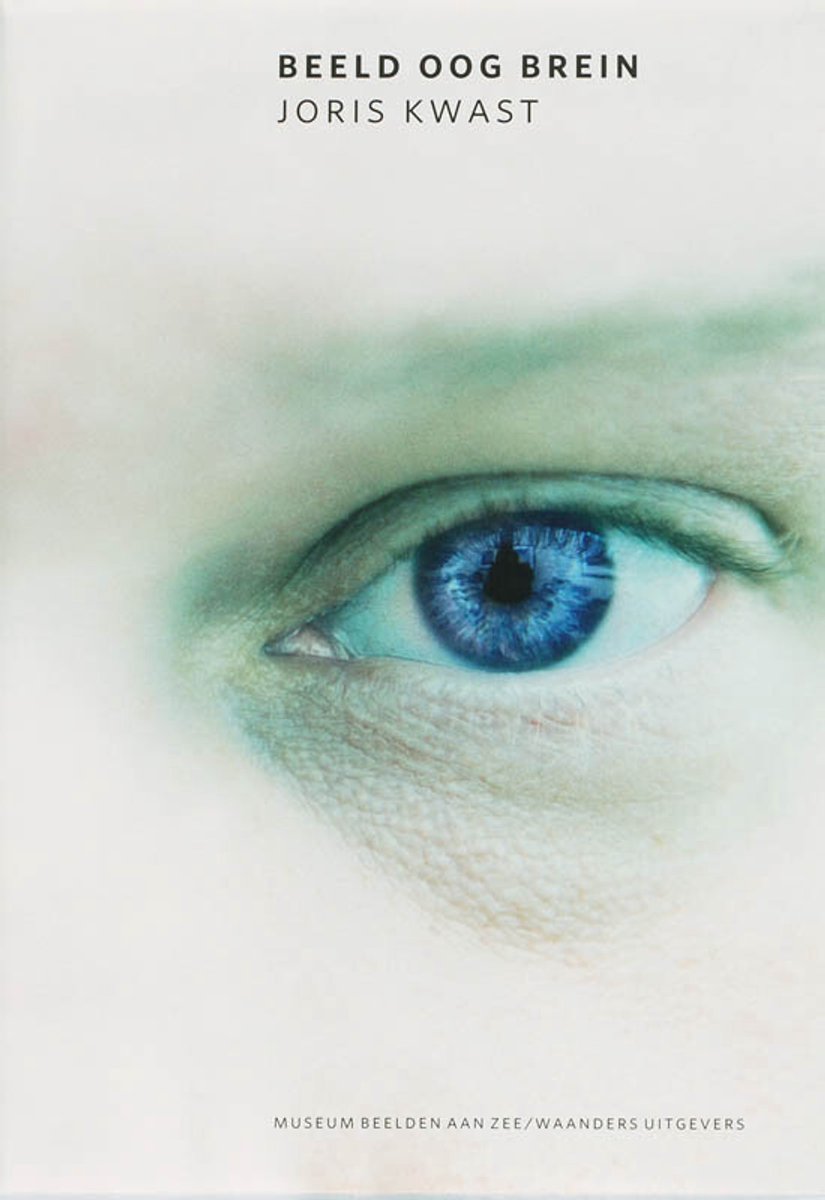 Beeld Oog Brein