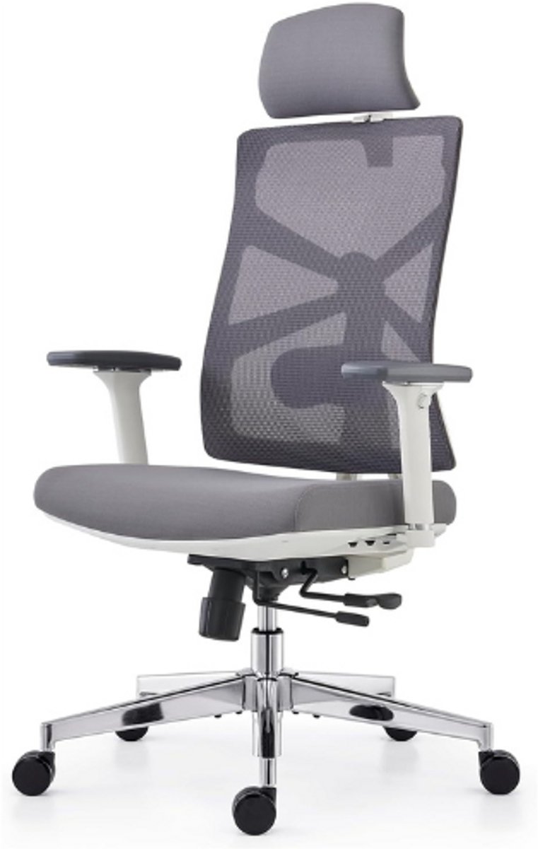 HOLLUDLE Ergonomische bureaustoel met adaptieve rugleuning, hoge rugleuning computerbureaustoel met 4D-armleuningen, verstelbare zitdiepte, lendensteun en 2D-hoofdsteun, draaibare taakstoel, wit GRIJS