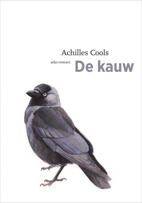 De vogelserie 4 - De kauw - cover