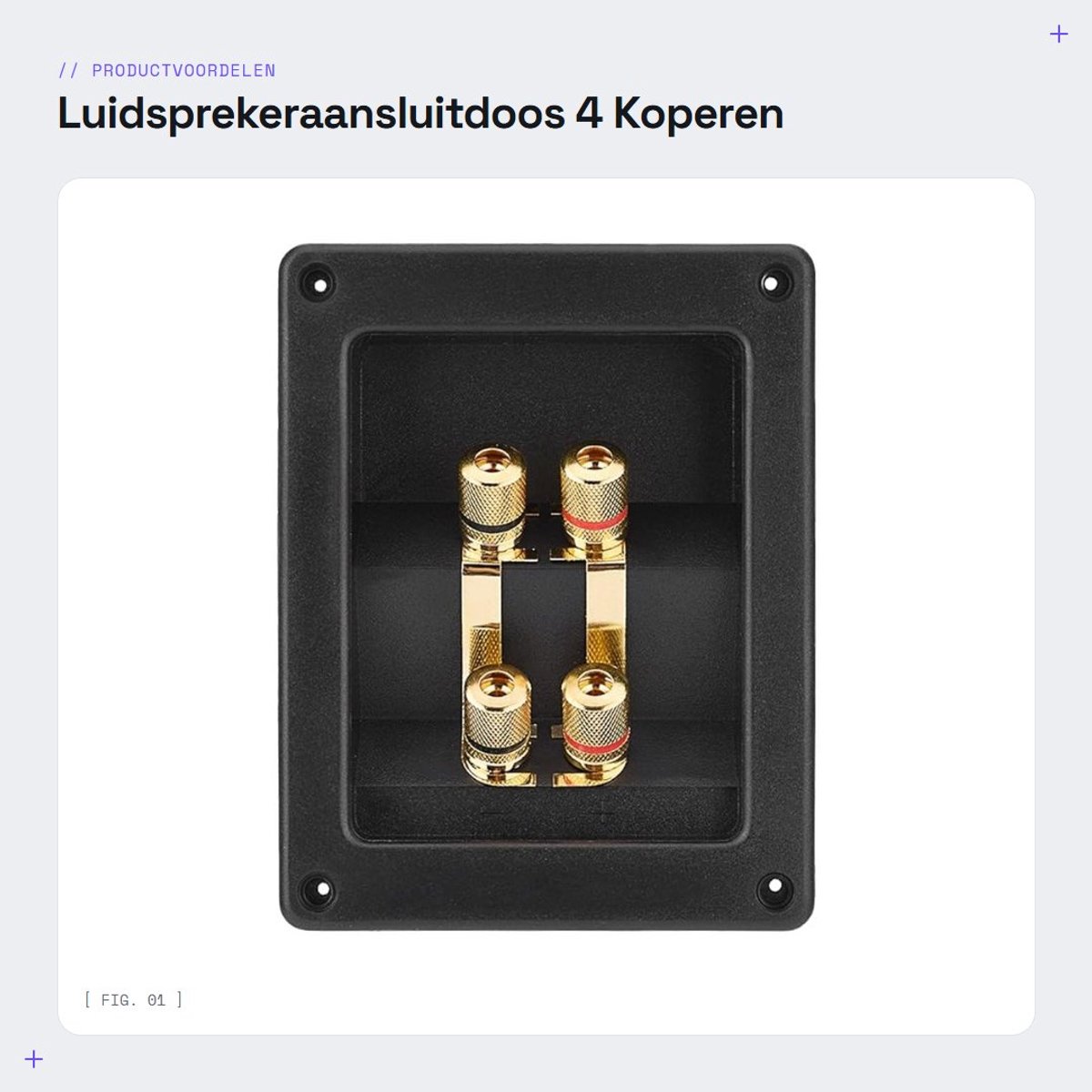 Dailygoods - Luidsprekeraansluitdoos - 4 Koperen Aansluitklemmen - Eenvoudige installatie - Compact formaat - Akoestische componenten - Geschikt voor...