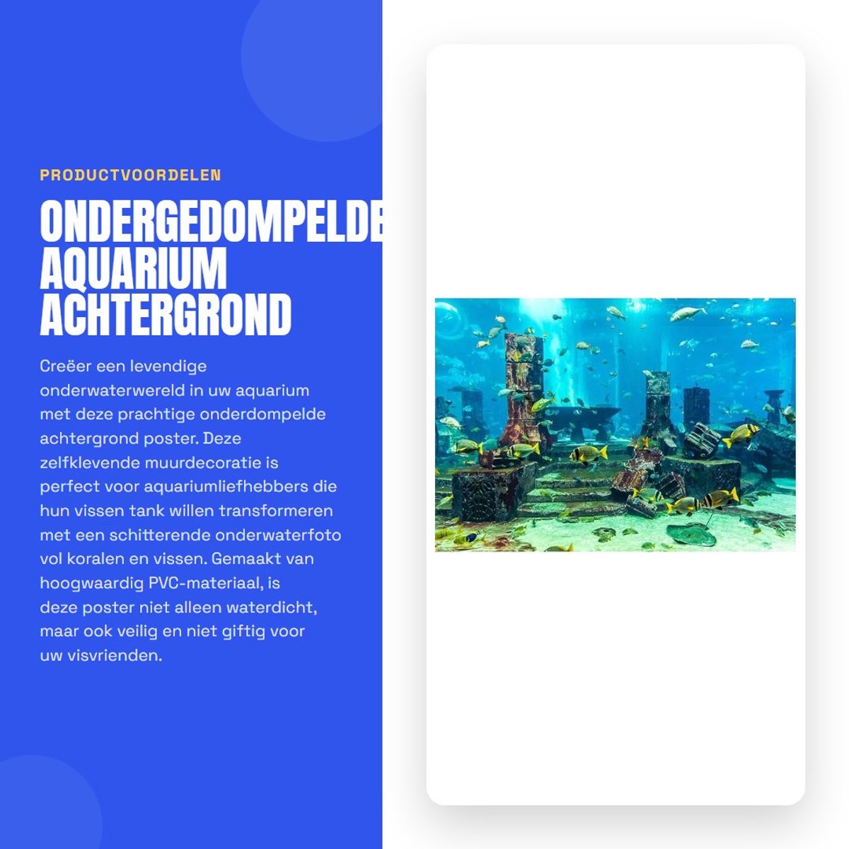 Dailygoods- Aquariumachtergrond PVC - Onderwaterfoto - Zelfklevend - Waterdicht - Hoge resolutie - Levendige kleuren - Aquariumdecoratie