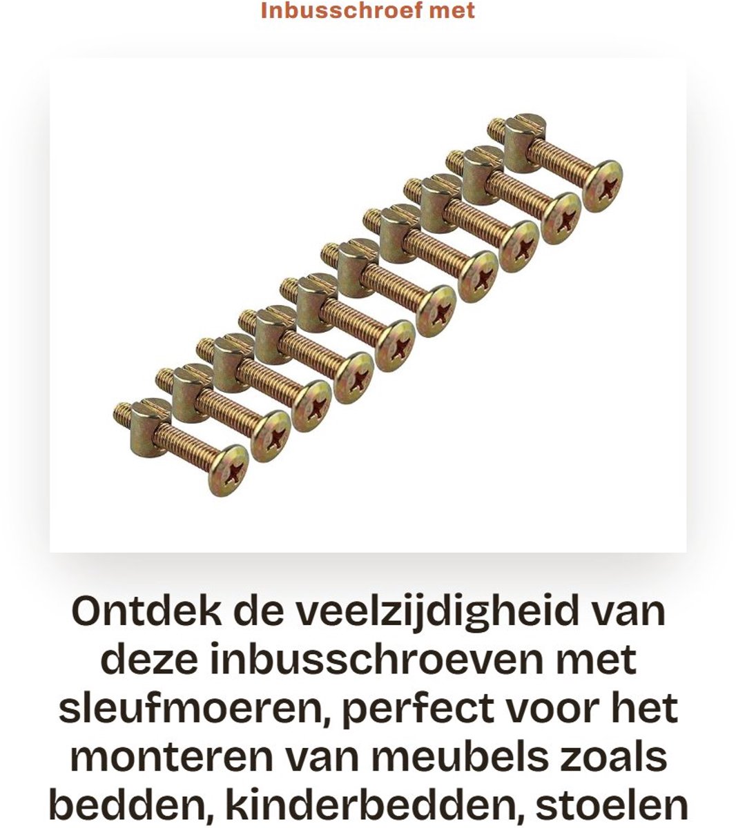 Dailygoods- Inbusschroef M6 - 10 Stuks - Boutlengte 35 mm - Verzinkt - Corrosiebestendig - Geschikt voor Meubels - Meubelbout