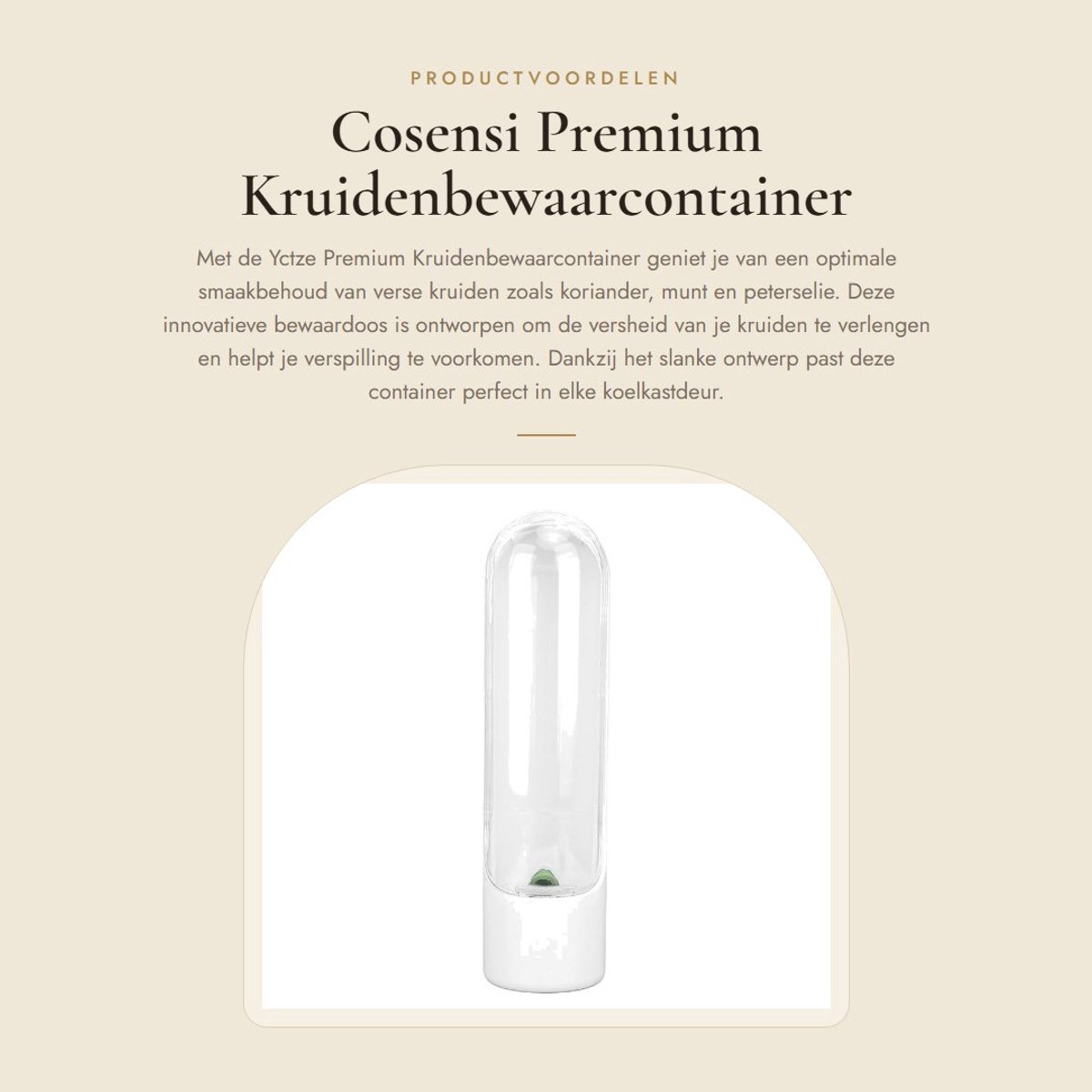 Dailygoods- Opslagcontainer 25 Cm - Voorkomt Verpletteren - Bewaart Kruidensmaak - Geschikt voor Peterselie/Munt/Rozemarijn - Duidelijk Venster - Duurzaam Ontwerp - Kruidenbewaarcontainer