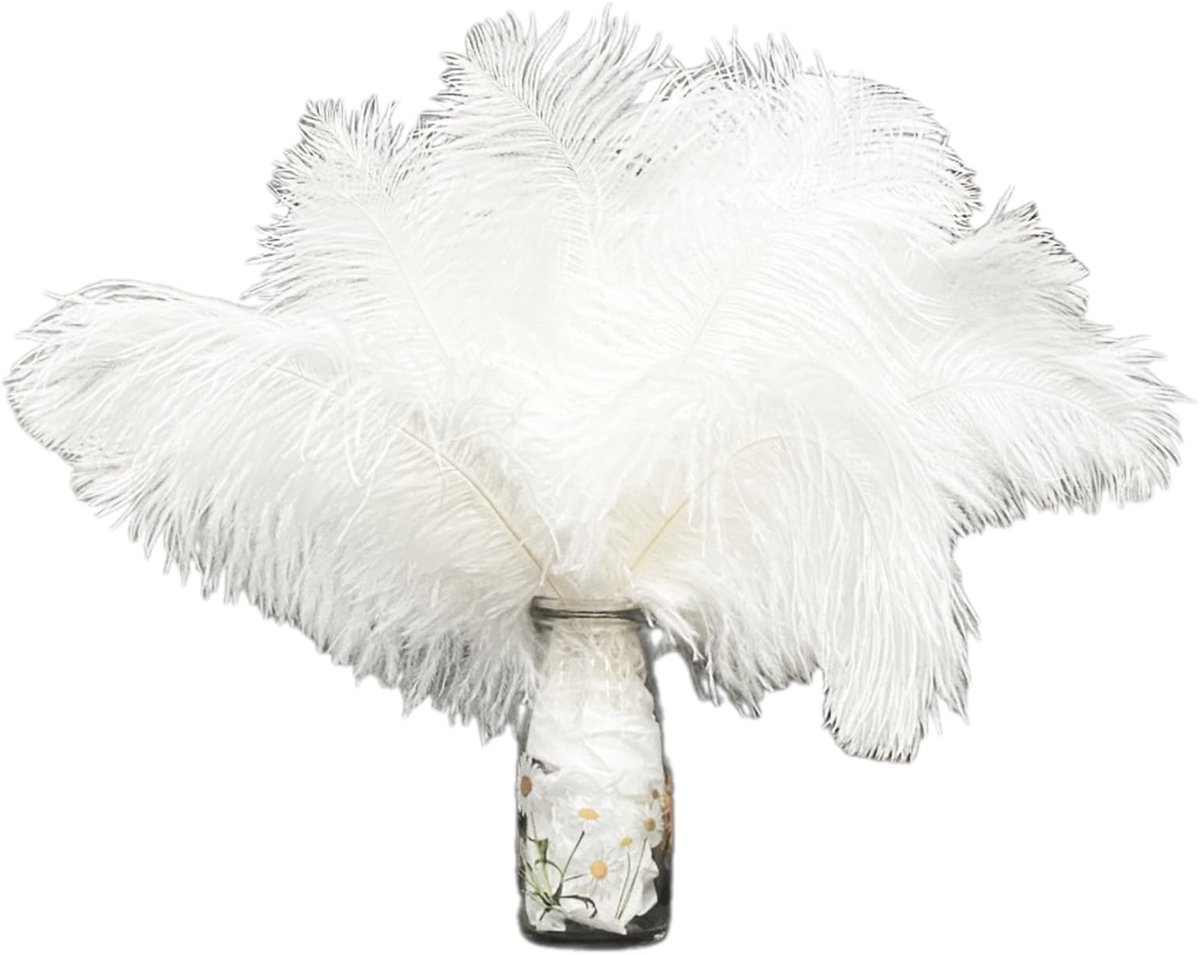 Dailygoods- Struisvogelveren 12 stuks - Natuurlijke Pluimen 25-30 cm - Zacht en Lichtgewicht - Kras- en Vuilafstotend - Voor Knutselen en Decoratie - Veren