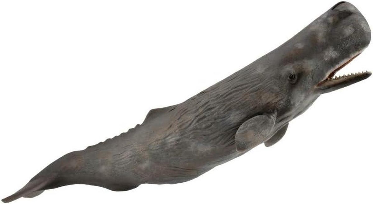 Verzamelfiguur Walvis - Dierenfiguur - Educatief Spel - Handgeschilderd Detail - XL - Meerkleurig