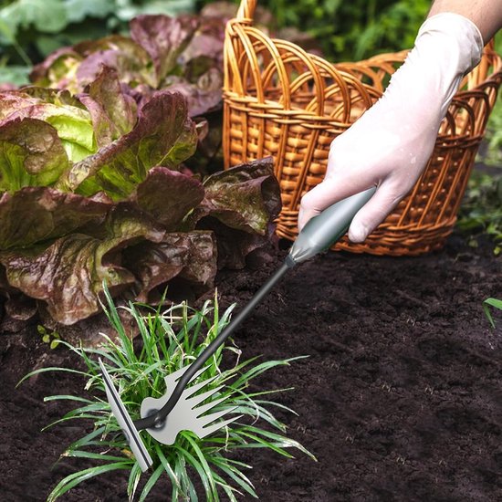 Onkruidverwijderaar Tuin - Onkruidsteker Weder - Gazon Onderhouden - Precisie Gesmede Tool - 35 cm Steel - Metaal van Merkloos	 — afbeelding 4