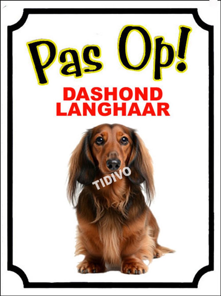 Dashond, Langhaar 16
