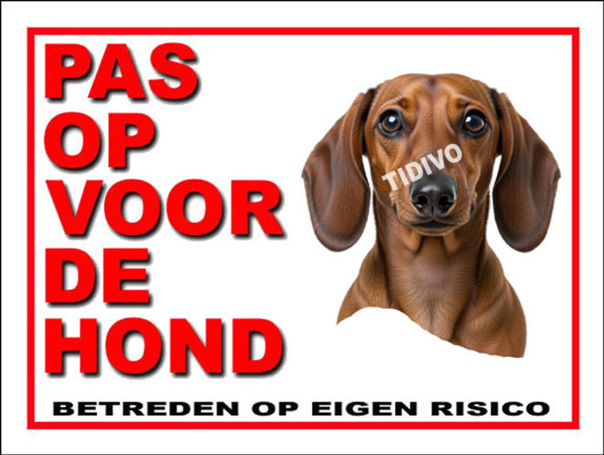Dashond, Korhaar 13