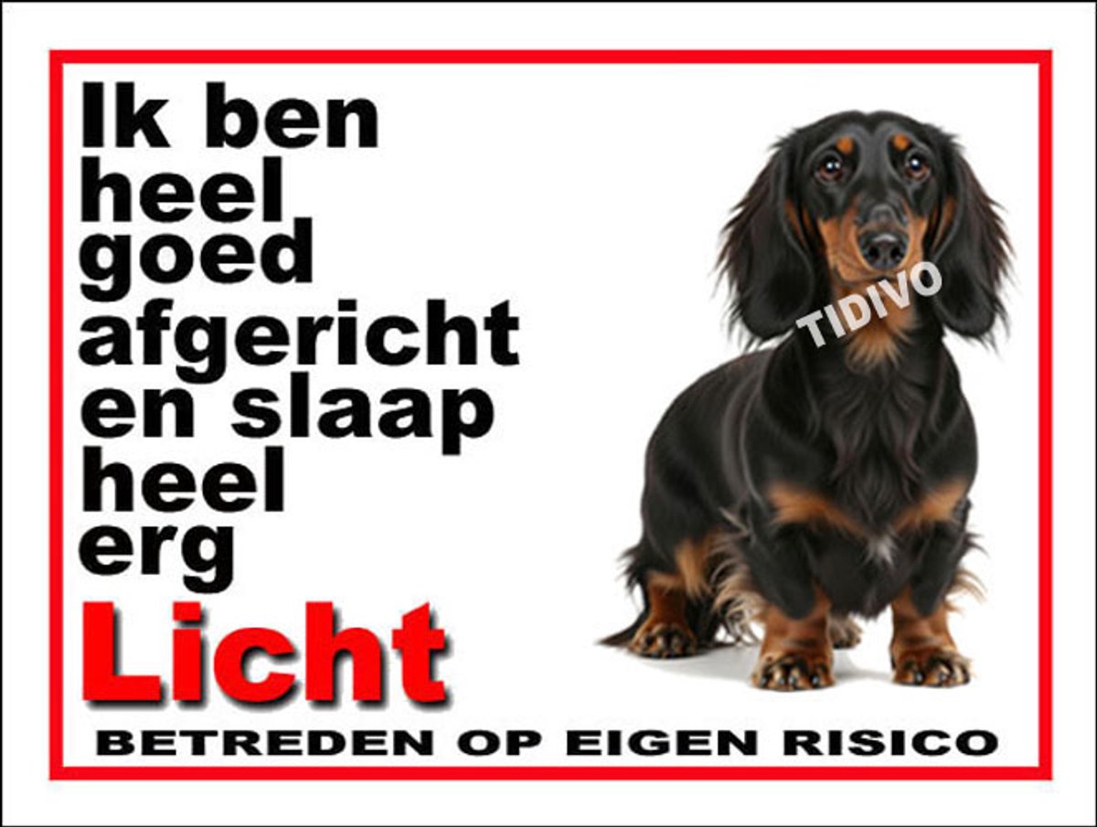 Dashond, Langhaar 4
