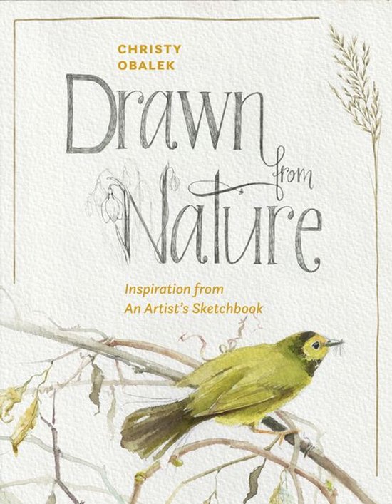 Drawn from Nature - cover