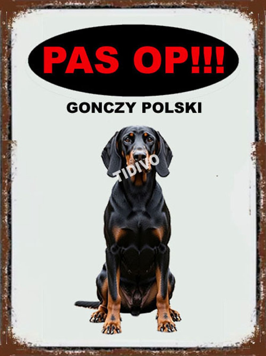 Gonczy Polski 17