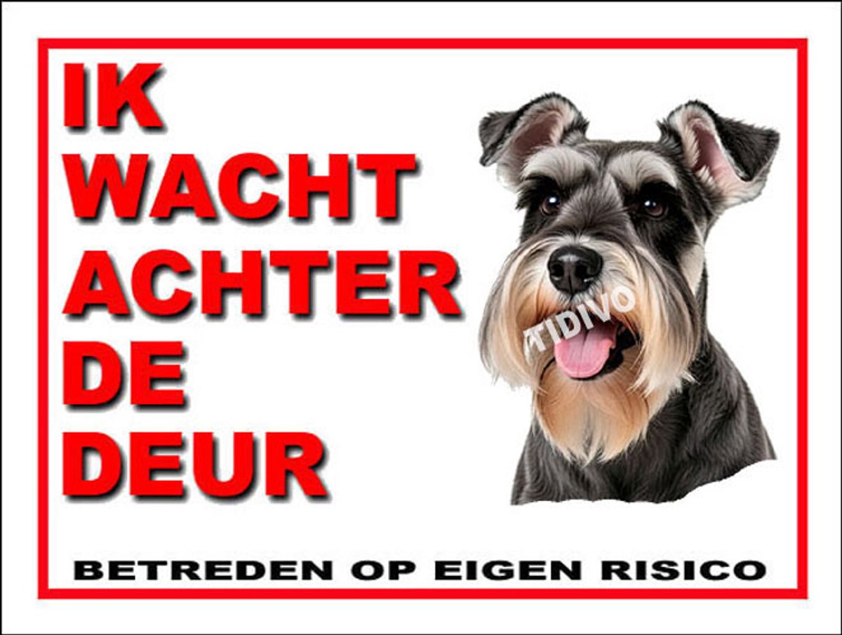 Dwergschnauzer 10