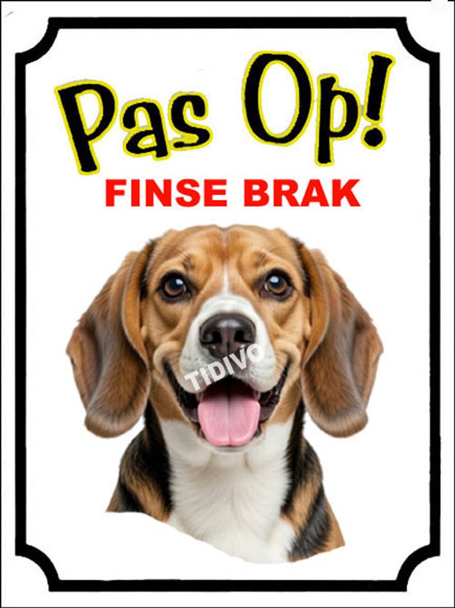 Finse Brak 16