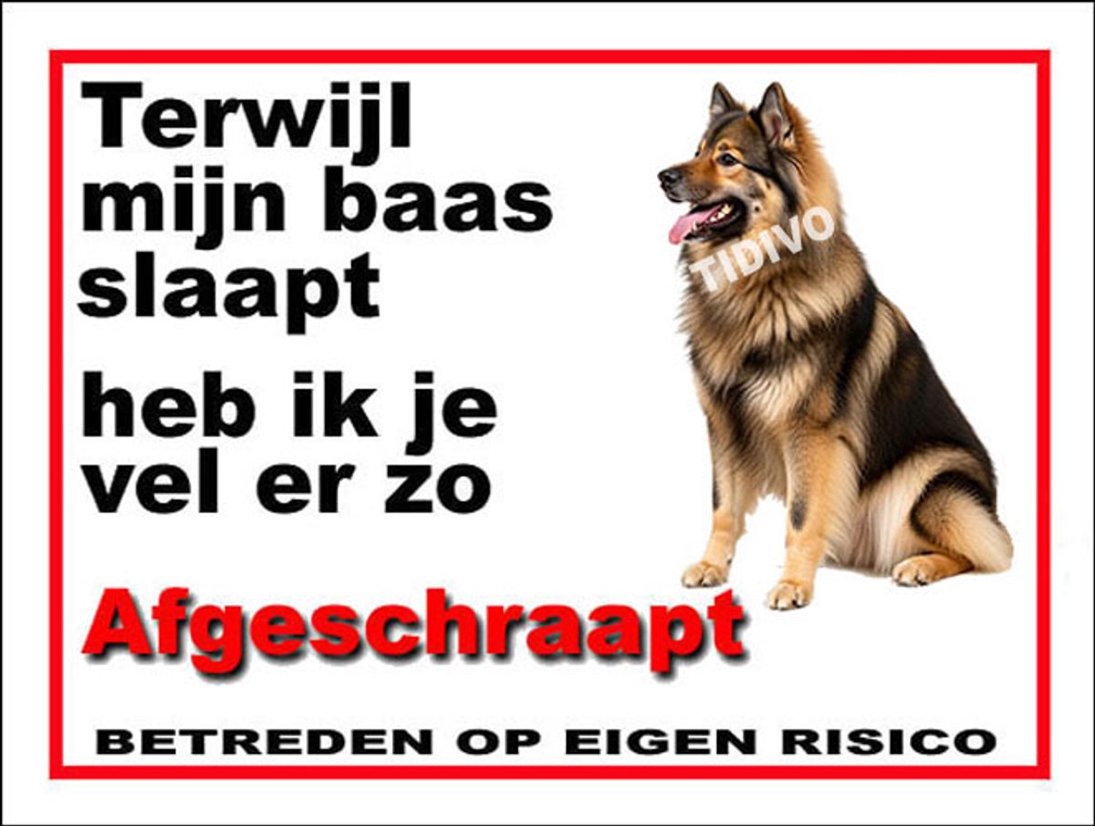 Eurasier 15