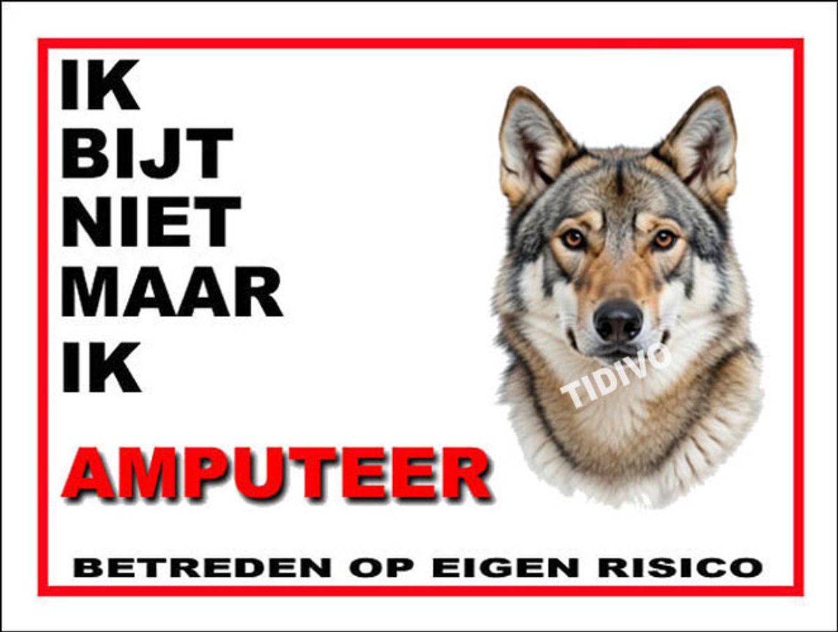 Saarlooswolfhond 5