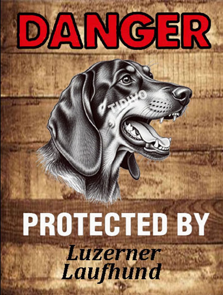 Luzerner Laufhund 19