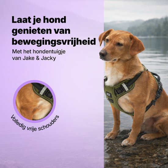 Harnais pour chien - Harnais anti- Trek - Harnais pour chien - Y Harness Dog - Réfléchissant - Vert - Taille L