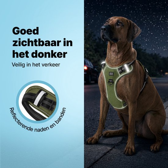 Harnais pour chien - Harnais anti- Trek - Harnais pour chien - Y Harness Dog - Réfléchissant - Vert - Taille L