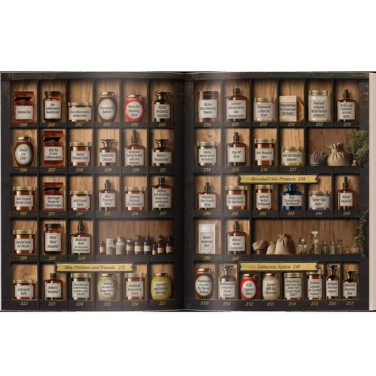 De Vergeten Kruidenapotheek: 250 Krachtige kruidenremedies die je zó kunt maken Paperback – 16 oktober 2025 (en) Engelse versie