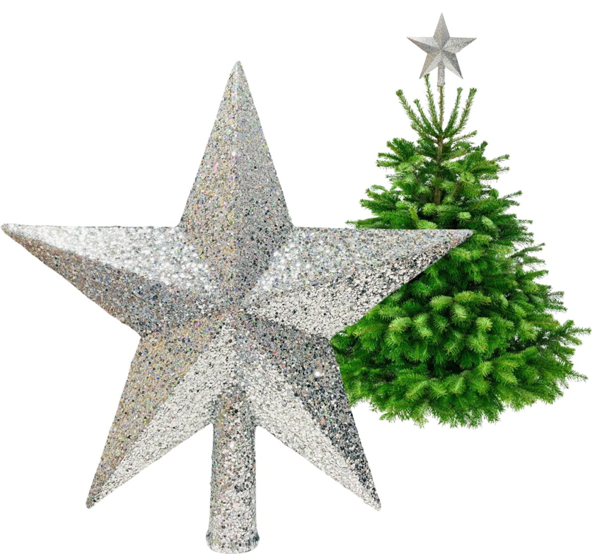 Inspiruj - Kerstboomtopper - Sierster - Zilver - Glitter